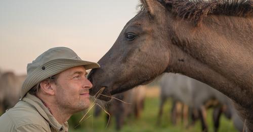 Mark Marc Lubezki, Hofreitschule, Magazin Hofreitschule Nesw, Barocke Reitkunst