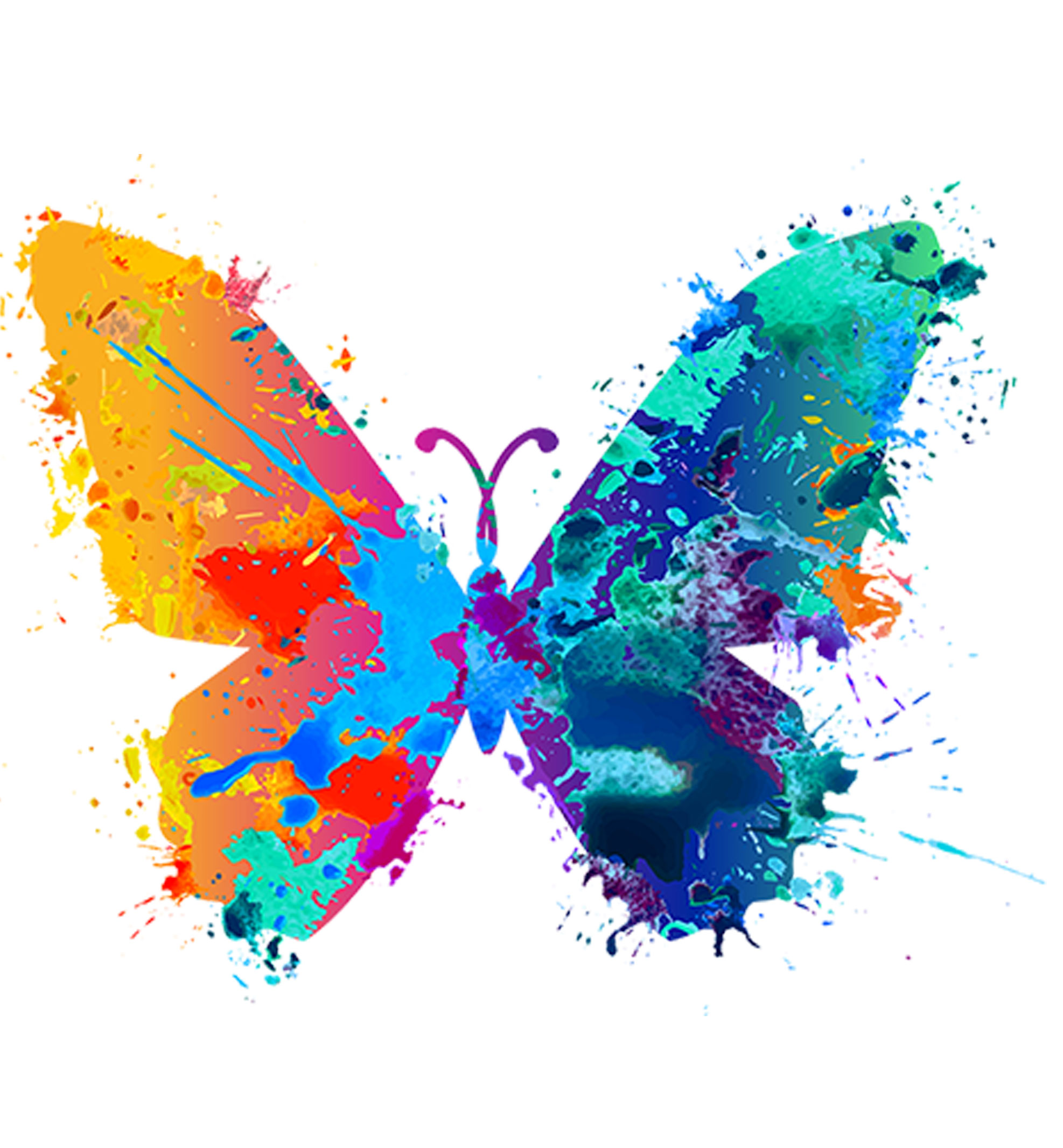 schmetterling_header