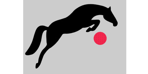 tierarztpraxis-pferde-quernheim